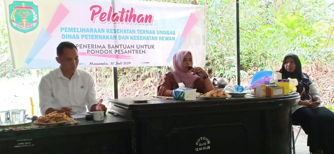 Santri di Luwu Utara Dilatih Beternak Ayam Kampung