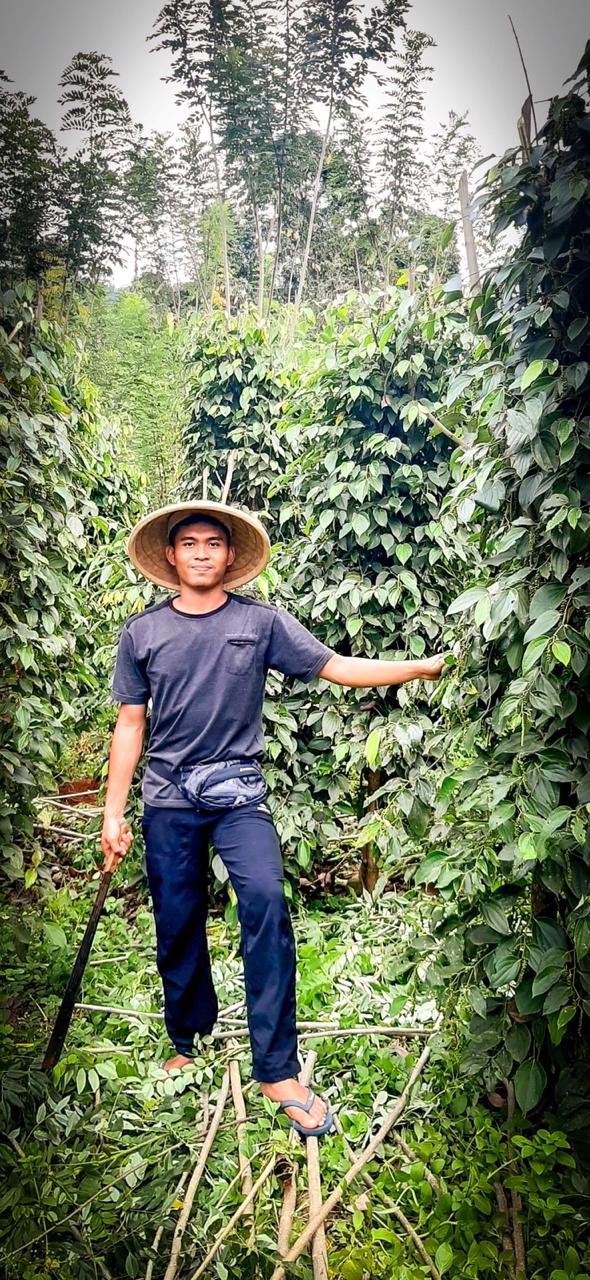 Pemuda Bua Minta Pemerintah Beri Ruang bagi Petani Muda di Luwu