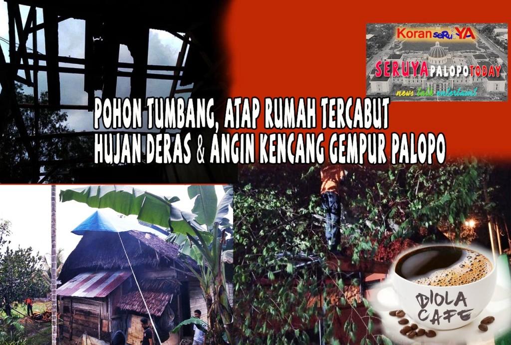 Waspada! Hujan dan Angin Kencang Sergap Palopo, Pohon Tumbang dan Atap Rumah Tercerabut