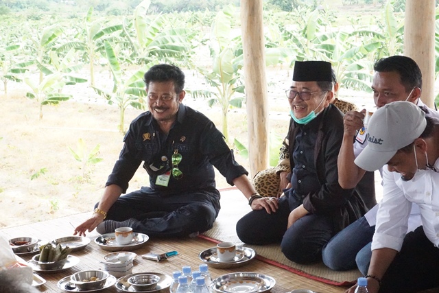 Porang Jadi Komoditas Primadona Hasilkan Ratusan Juta, Judas Amir: Kadis Pertanian Budidayakan di Palopo