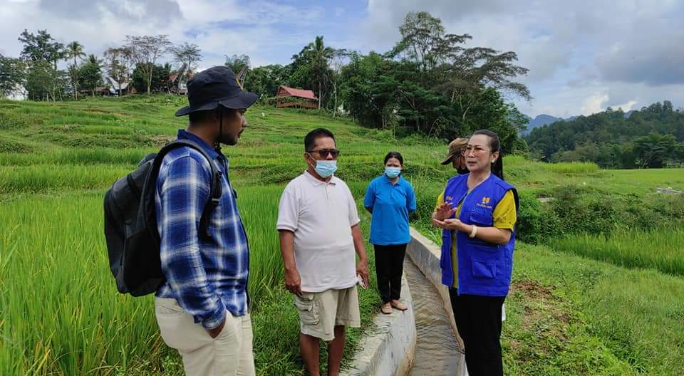 Anggota DPR RI Sarce Bandaso Tinjau Pembangunan Irigasi Tersier di Torut