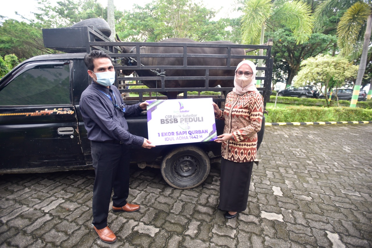 Pemda Lutra Terima Satu Ekor Sapi Kurban dari Bank Sulselbar Masamba
