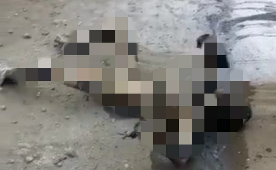 VIDEO : Tabrakan saat Bawa Jeriken Berisi BBM, Warga Gowa Meninggal Terpanggang