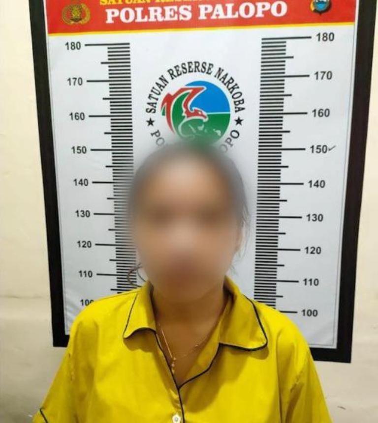 Apess !!! Usai Transaksi Narkoba, Wanita di Palopo Diciduk Polisi, Sabu Disimpan di Pakaian Dalam