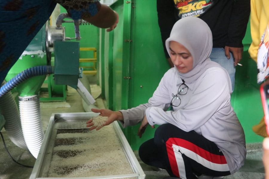 Surplus Beras Luwu Utara Capai 93.474 Ton