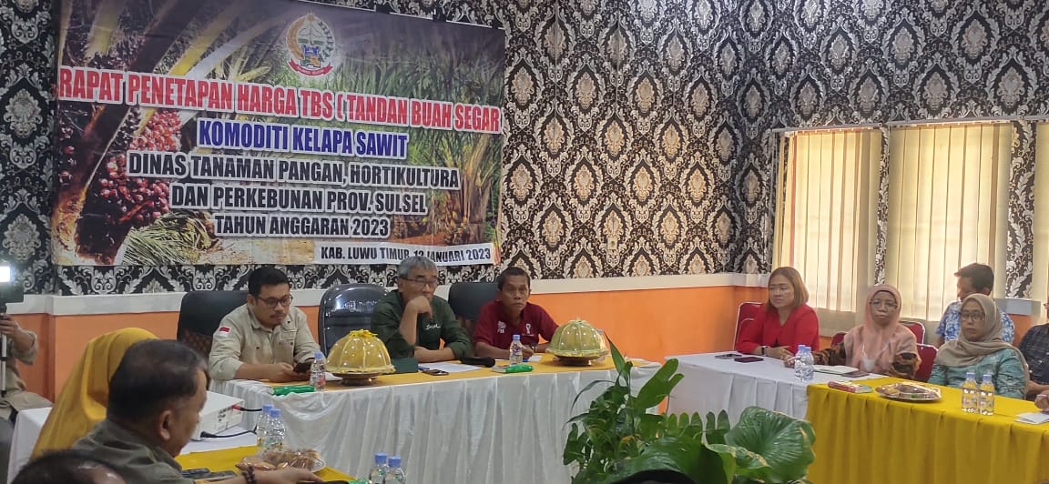 Harga TBS Kelapa Sawit di Luwu Timur Rp 1.970 per Kilogram