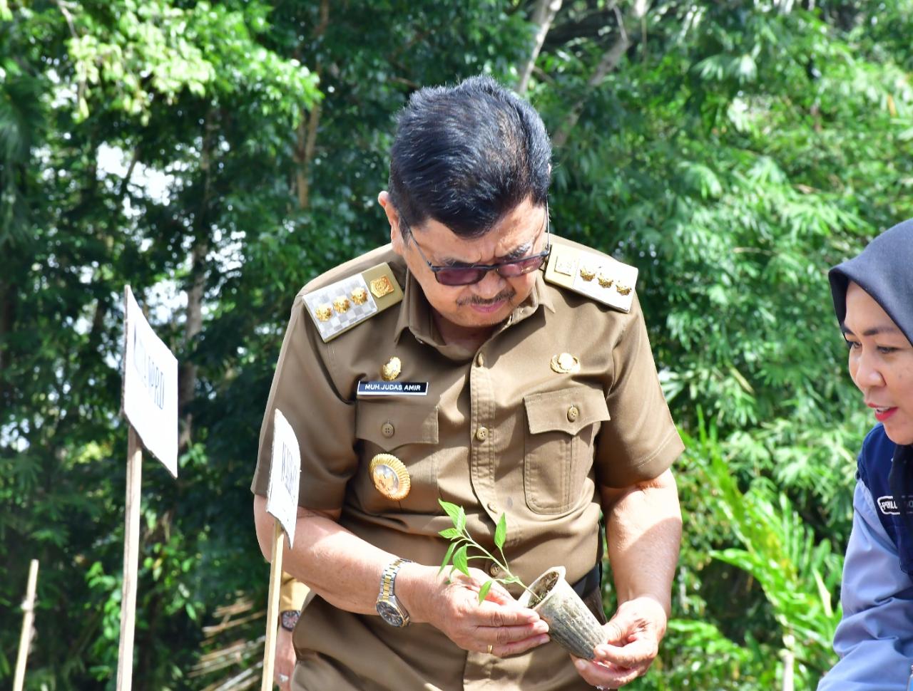 Upaya Pengendalian Inflasi, Walikota Palopo Tanam Pangan Cepat Panen