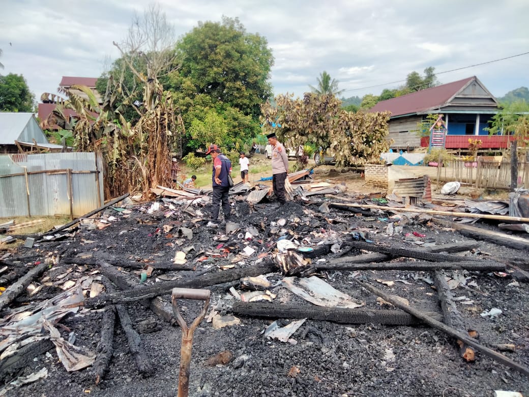 Gara-gara Nyamuk Bakar, Rumah Warga Luwu Rata dengan Tanah