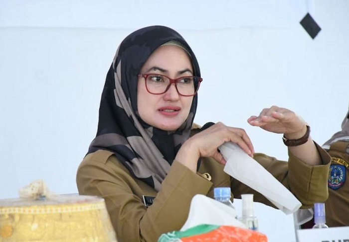 Viral Ibu dan Bayi di Luwu Utara Meninggal Saat Ditandu, IDP : Pembangunan RS Tipe D di Seko Sangat Mendesak