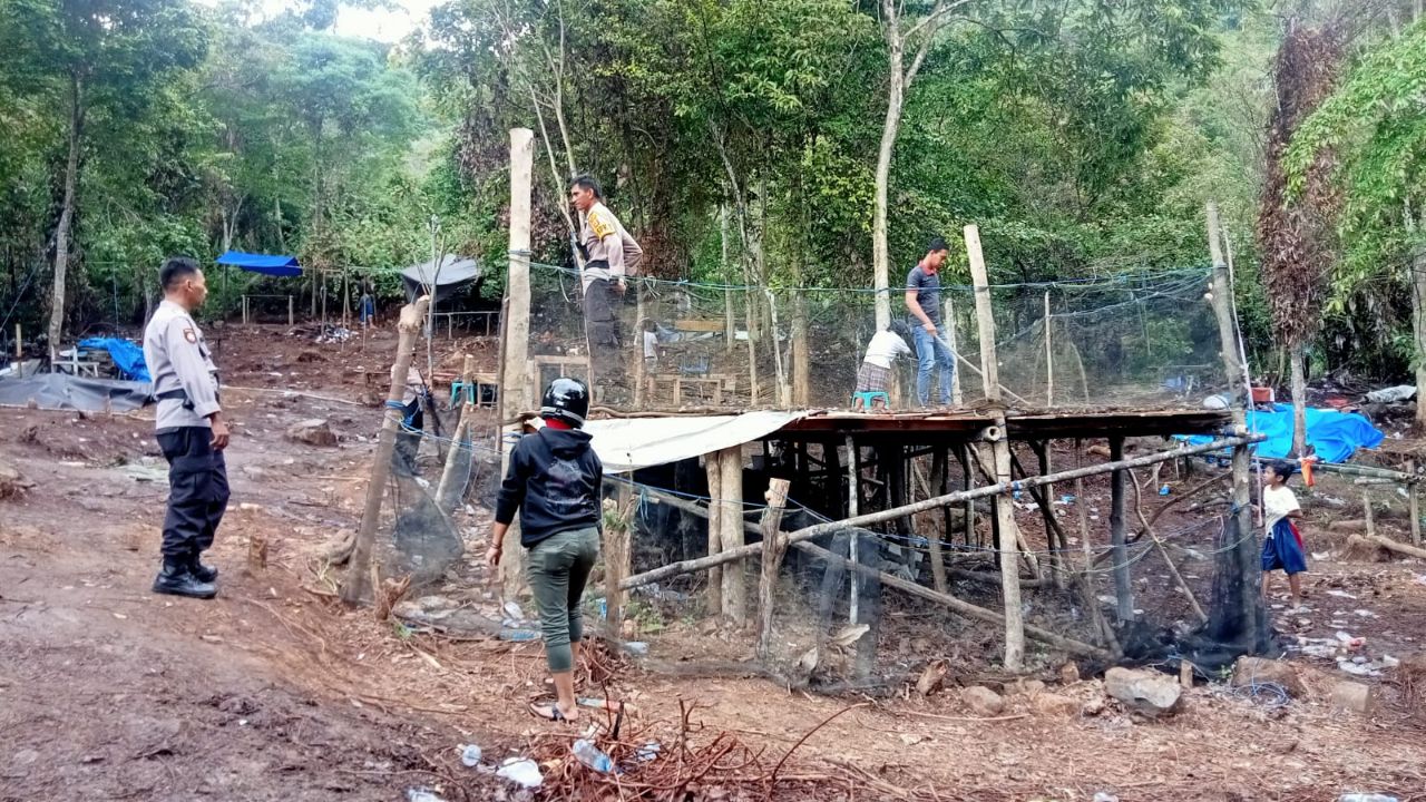 Polisi Bongkar Arena Sabung Ayam di Salobulo