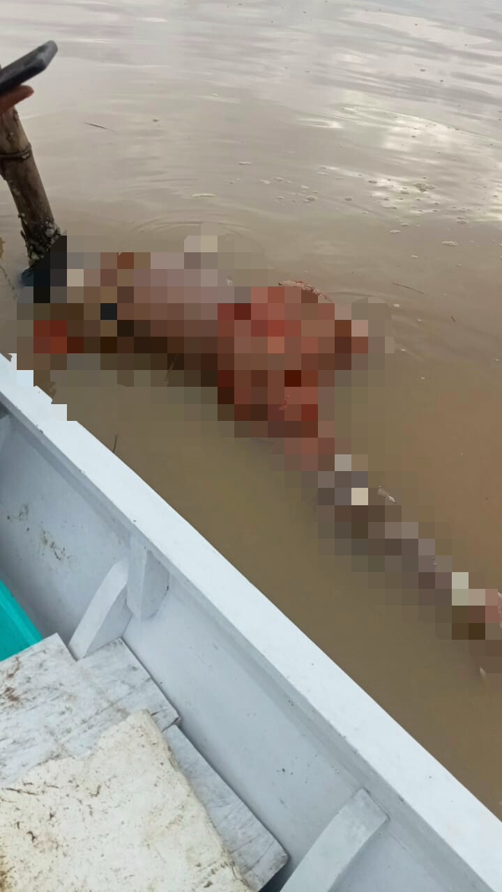 BREAKING NEWS : Dua Hari Dicari, Warga Palopo Ditemukan Mengapung