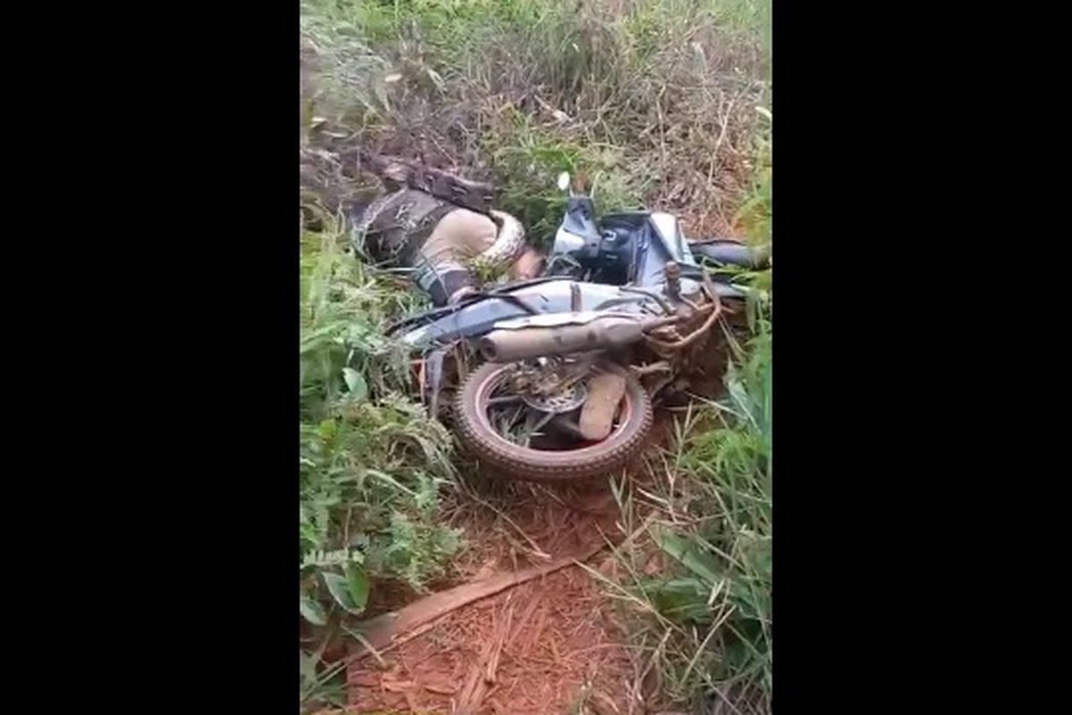 Tragis !! Pulang dari Kebun, Petani Merica Asal Wajo di Lutim Tewas Dililit Ular Piton… Disaksikan Istri Tercinta