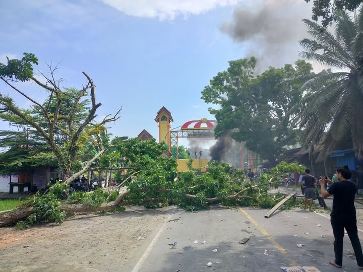 Memanas !! Transportasi di Luwu Utara Lumpuh Total, Pendemo Blokade Pintu Gerbang di Sabbang dengan Menebang Pohon di Pinggir Jalan