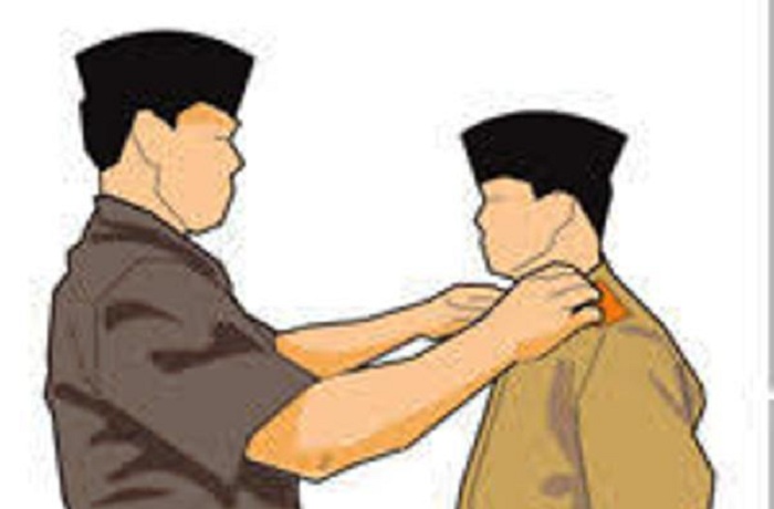 Empat Kursi Kadis Dilelang, Pemkab Luwu Mulai Jaring Kandidat