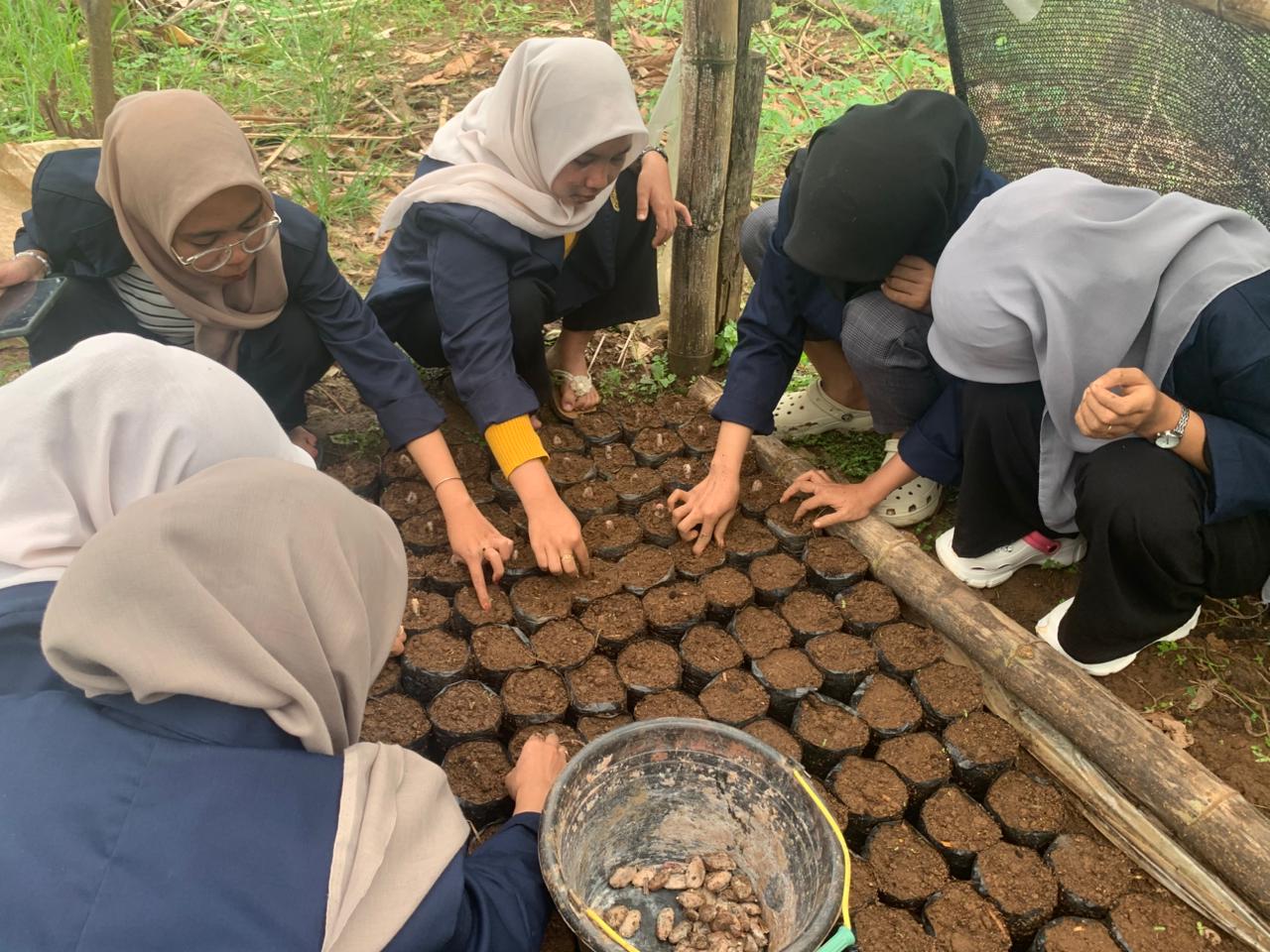 Dukung Sektor Pertanian Luwu Raya, Prodi Penyuluhan Pertanian UMPalopo Siapkan Penyuluh Profesional