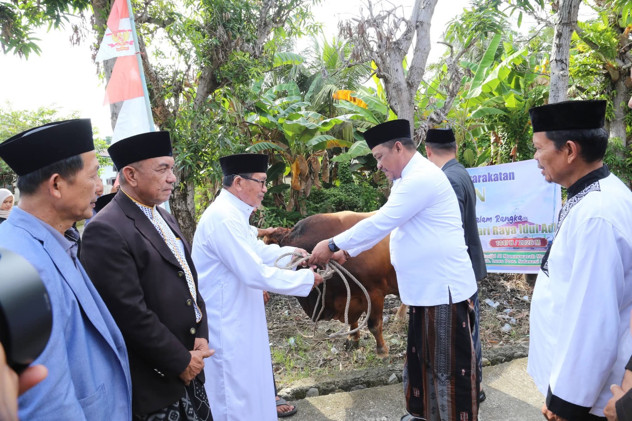 Momentum Idul Adha 1447 Hijriah di Luwu, 2.381 Hewan Kurban Disembelih