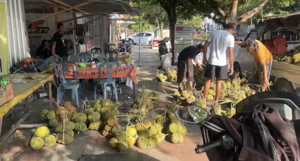 Abhit Duren, Surga Durian Murah Bergaransi di Tengah Kota Palopo