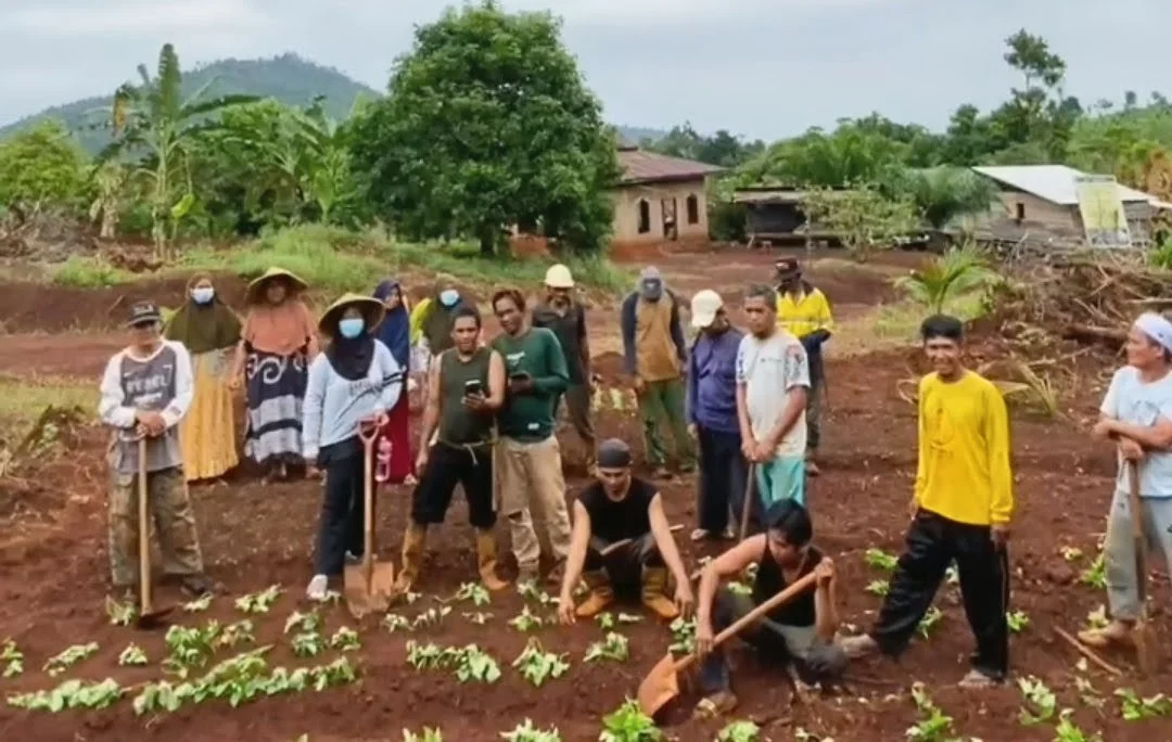 Melanggar HAM!! Komnas HAM Minta Pemkab Lutim Hentikan Penggusuran Warga Laoli Terkait Proyek PSN IHIP