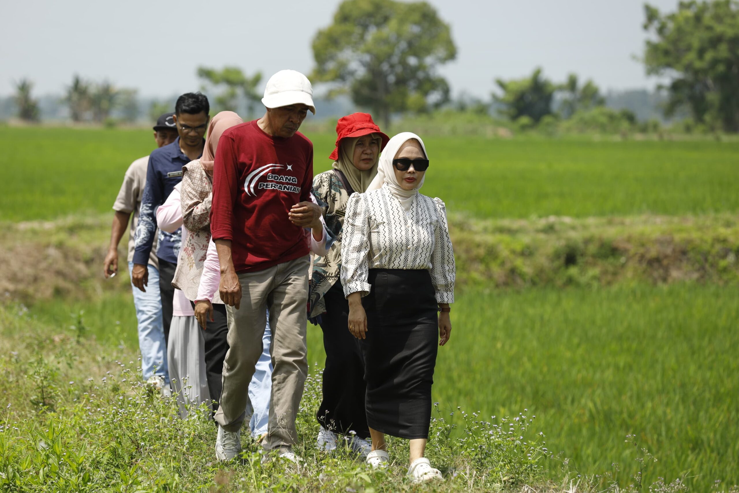 Tinjau Pemanfaatan Pompa Bantuan Gubernur di Telluwanua, Walikota Palopo: Sangat Membantu Petani Atasi Kekeringan di Musim Kemarau Panjang