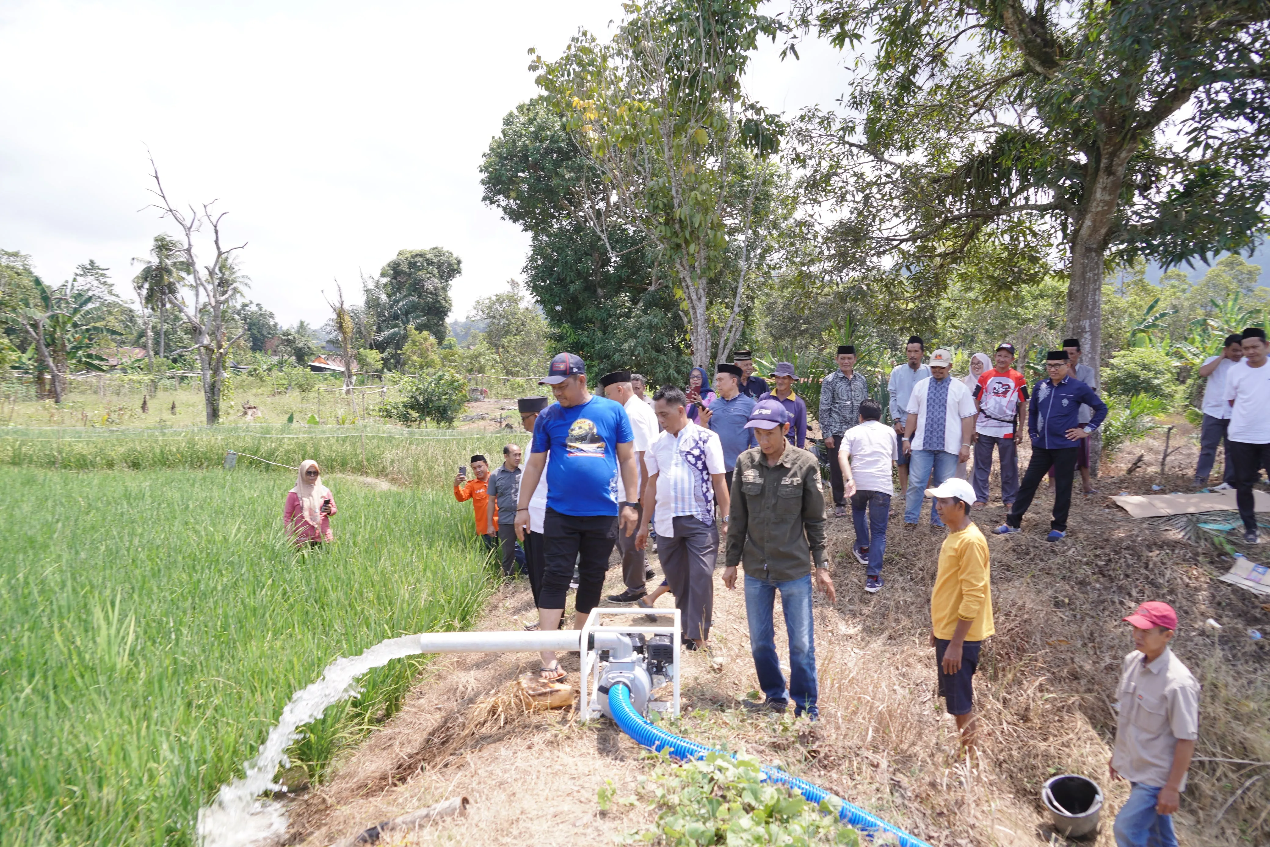 Bantu Petani Hadapi Kemarau, Bupati Luwu Serahkan Pompa Air di Desa Babang