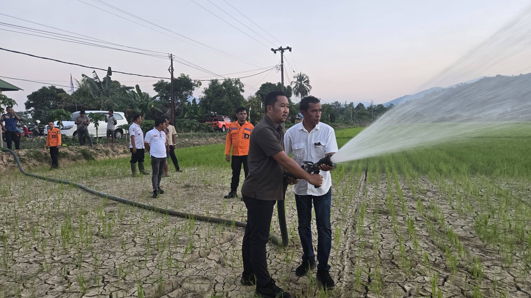 “Solusi Cerdas” Bata Manurun Bantu Petani Atasi Kekeringan Efek Elnino di Telluwanua, Mobil Damkar Diturunkan Semprot Ratusan Hektar Sawah