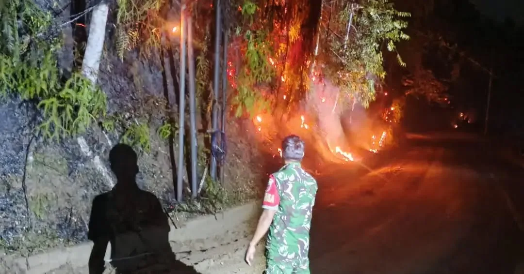 5 Hektare Hutan Lindung Battang Barat Palopo Terbakar, Diduga Ulah Warga yang Hendak Buka Lahan